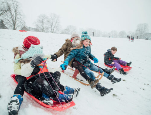 The Best Sledding Hills and Winter Parks for Families in New Berlin